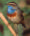 Pechiazul